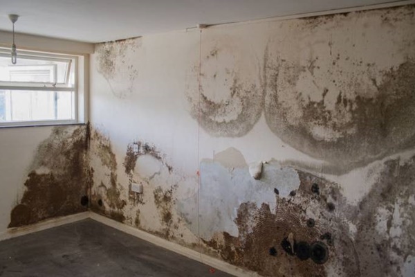 Xử lý dầu ăn thừa đúng cách, bảo vệ môi trường và sức khỏe-2