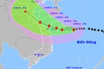 Bão Côn Sơn gây mưa to diện rộng, đã có người chết do lũ cuốn trôi-4