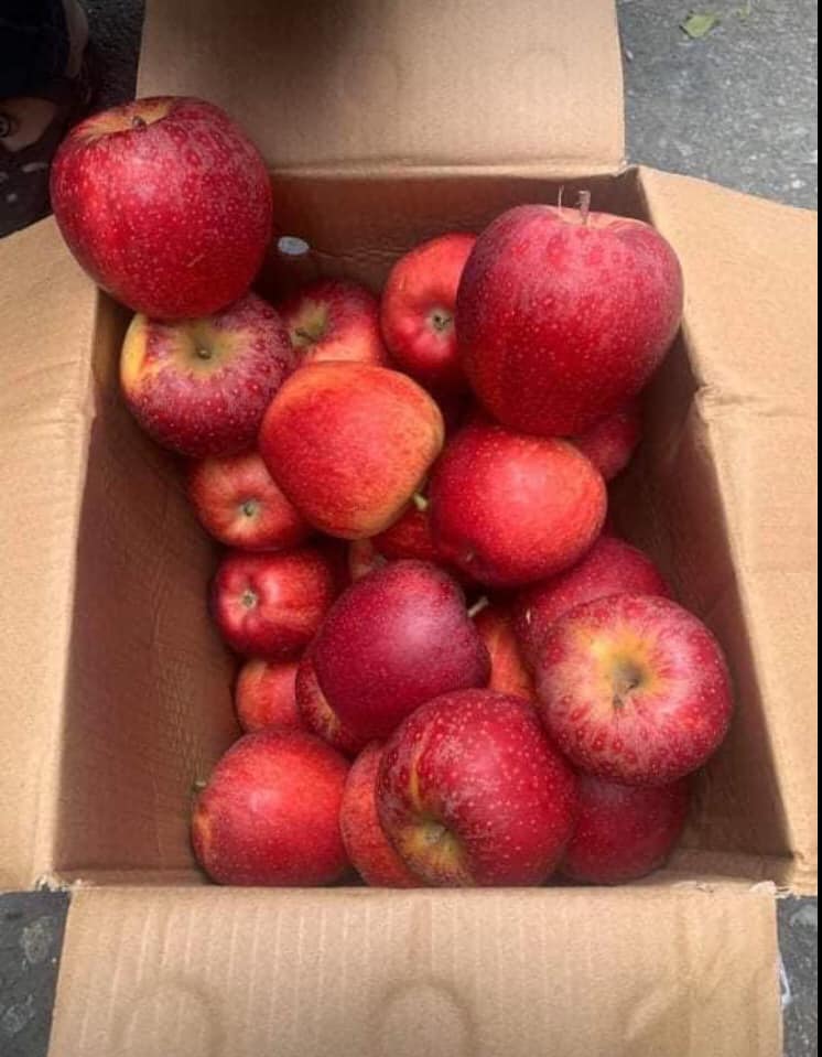 Táo đá Trung Quốc siêu rẻ bán ngập chợ mạng giá chỉ 20.000 đồng/kg-2