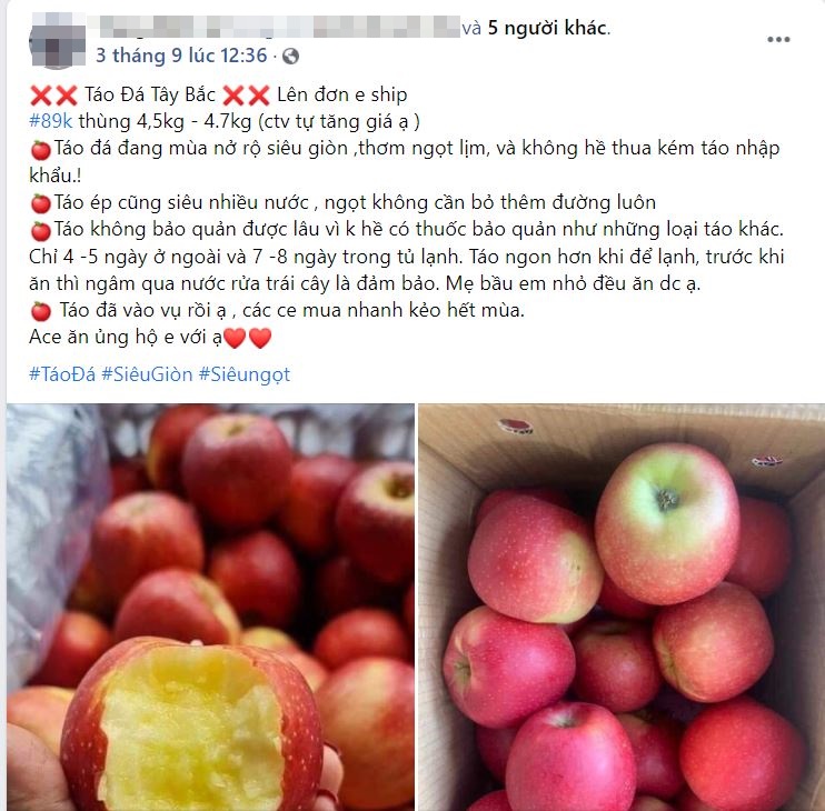 Táo đá Trung Quốc siêu rẻ bán ngập chợ mạng giá chỉ 20.000 đồng/kg-5