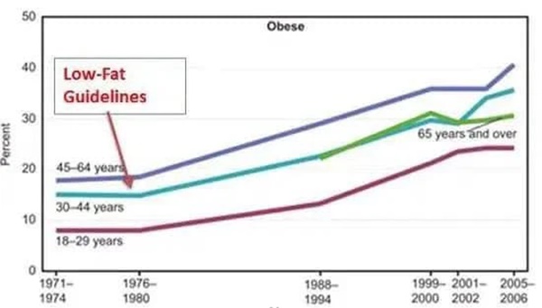 Tiến sĩ Việt ở Hà Lan giải oan cho mỡ: Mỡ rất tốt, béo chưa hẳn đã xấu, vấn đề là nên ăn mỡ gì-1