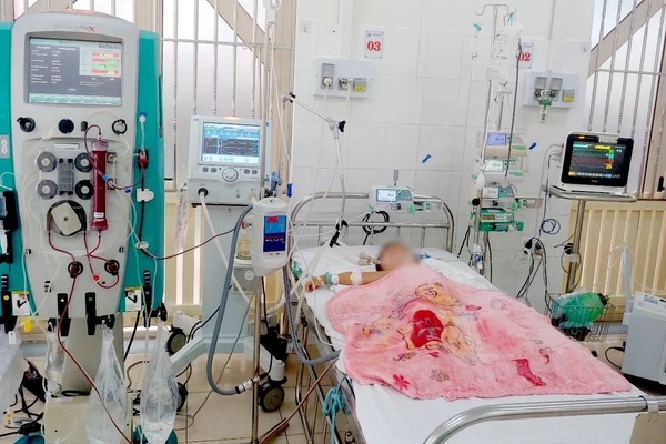 1 trẻ tử vong, 1 bé trai 5 tuổi khác nguy kịch vì bị ong vò vẽ đốt-1