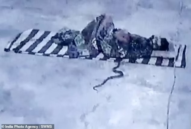 Mang chăn chiếu đến đền thờ nằm ngủ, người đàn ông bị rắn bò đến đòi ngủ cùng, kết cục khiến người xem thót tim theo-1