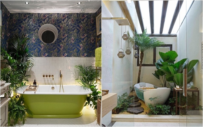 Những loại cây khử mùi, hút ẩm hiệu quả cho nhà vệ sinh, thậm chí muỗi cũng phải tránh xa-1