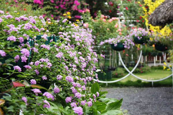 Chồng ngoại tình lại vũ phu nhưng tôi không dám ly hôn-1