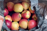 Cô gái mua 2 cân táo tưởng giá rẻ, không ngờ 1 cân ở Hàn Quốc hoàn toàn khác 1 cân ở Việt Nam