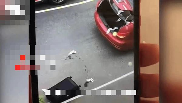 Vụ thi thể giấu trong vali: Cảnh sát bắt hung thủ, bước đầu tiết lộ động cơ gây án, danh tính nạn nhân không như lời đồn đoán-1