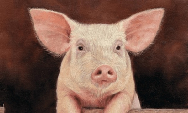 3 con giáp cực xui xẻo vào tháng 10/2021, cần đề phòng mọi chuyện kẻo dễ rước họa vào thân-3