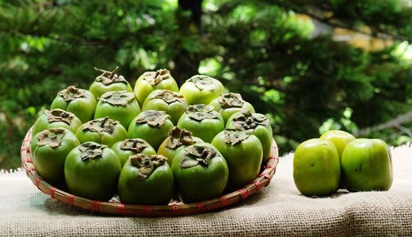 Hồng da tre giá cao hơn năm ngoái nhưng vẫn hút người mua-5