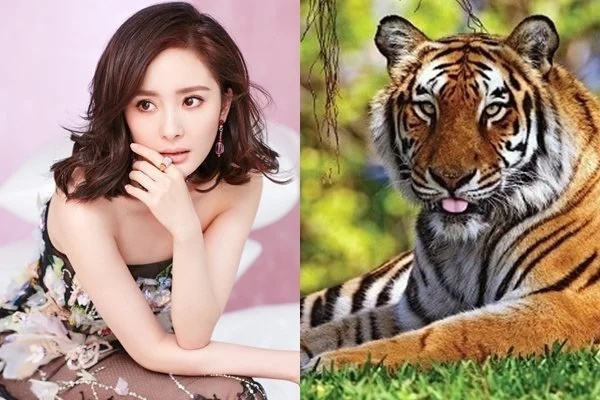 Vận trình cuộc sống của 12 con giáp trong tuần mới 13/9 - 19/9: Tuổi Ngọ thành công bất ngờ, tuổi Thân ghi điểm trong mắt mọi người-3