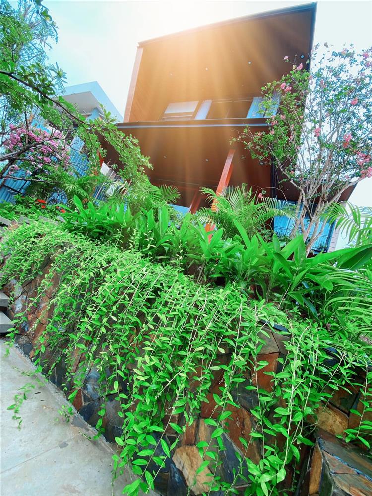 Ốc đảo” xanh mướt rộng 250m2 ở Vĩnh Phúc của bà mẹ 2 con-17