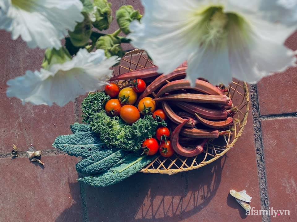 Khu vườn 200m² phủ kín rau xanh, quả sạch không khác gì nông trại của mẹ đảm Quảng Ninh-16