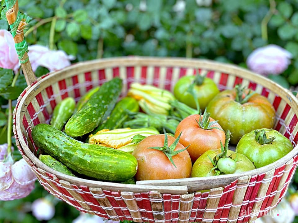 Khu vườn 200m² phủ kín rau xanh, quả sạch không khác gì nông trại của mẹ đảm Quảng Ninh-31