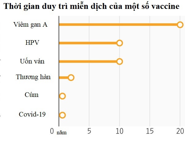 Vì sao vaccine Covid-19 không có hiệu quả trọn đời?-1