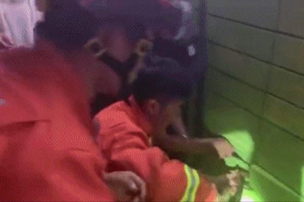 Con trai lén lút đứng ở cửa, giây tiếp theo khiến mẹ chết sững vì hành động bất ngờ, dân mạng ồ lên thích thú-5