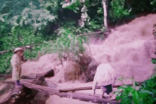 Cô giáo mầm non cõng con vượt lũ trên cây cầu tạm: Giờ xem lại clip thấy rợn người-1