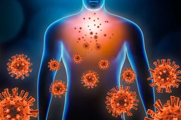 Lý do virus Nipah có thể gây đại dịch chết người giống như Covid-19-2