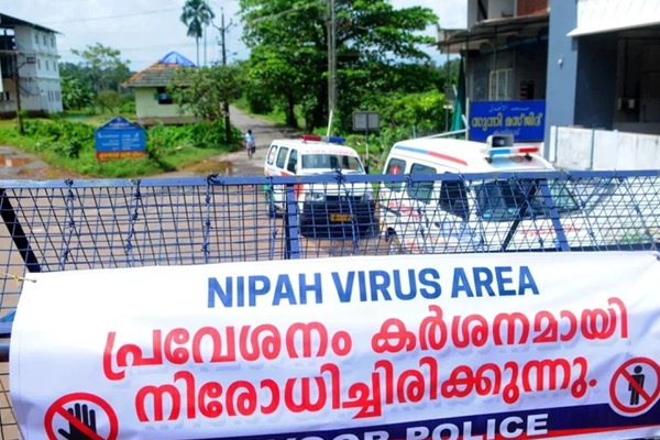 Lý do virus Nipah có thể gây đại dịch chết người giống như Covid-19-1