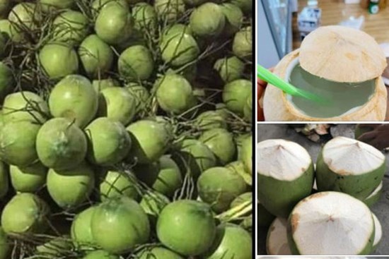 Dừa tươi duy trì mức bán cao trên chợ mạng, mỗi quả giá 25.000 đồng được 