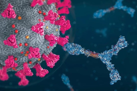 Phát hiện một số người có miễn dịch 'siêu nhân' chống lại Covid-19