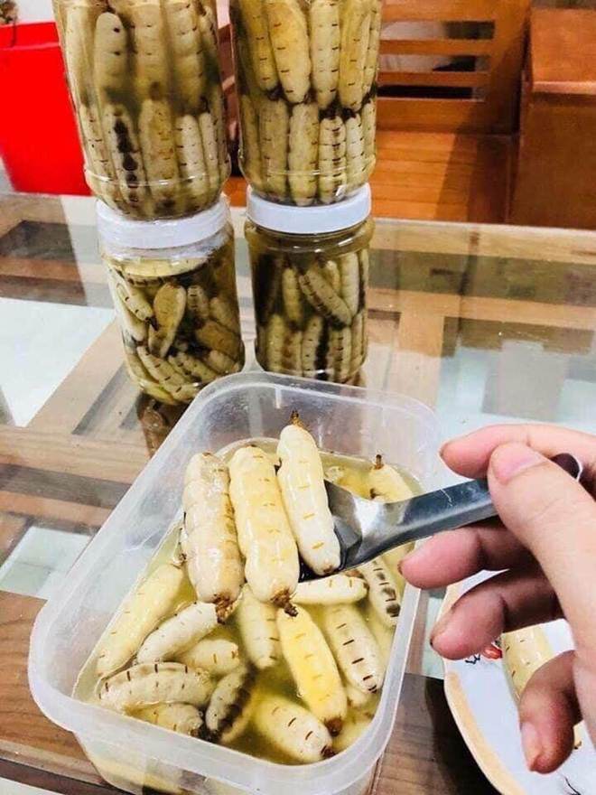 Đặc sản ở Việt Nam ai nhìn cũng thấy kinh hãi, giá tiền triệu dân nhậu vẫn lùng mua-4