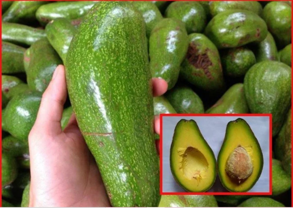 Mua bơ sáp về cứ ủ theo cách này đảm bảo bơ dẻo đều lại thơm ngon hơn nhiều-1