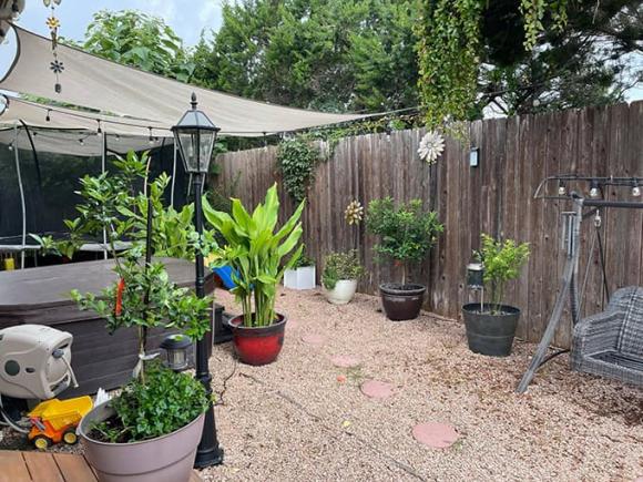 Ngắm vườn rau 350 m2 của ca sĩ Quách Thành Danh ở Mỹ-13