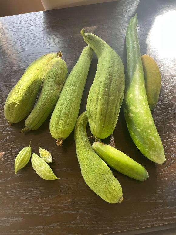 Ngắm vườn rau 350 m2 của ca sĩ Quách Thành Danh ở Mỹ-17