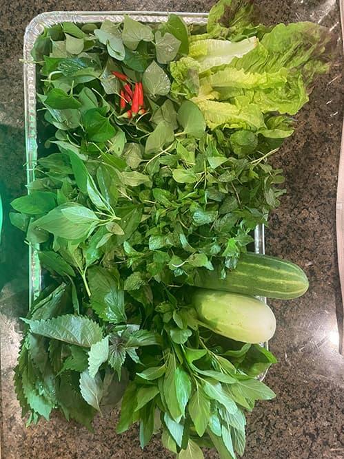 Ngắm vườn rau 350 m2 của ca sĩ Quách Thành Danh ở Mỹ-18