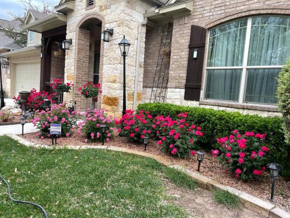 Ngắm vườn rau 350 m2 của ca sĩ Quách Thành Danh ở Mỹ-21