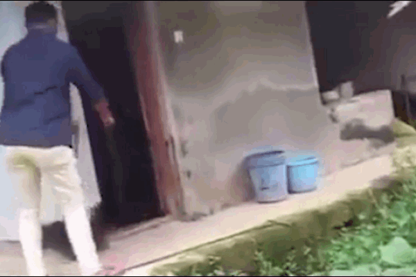 Clip: Bị rắn hổ mang phun nọc tấn công, người phụ nữ hoảng sợ la hét-1