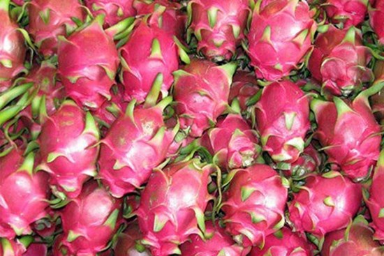 Phát hiện virus SARS-CoV-2 trên bao bì thanh long, Trung Quốc tạm dừng thông quan