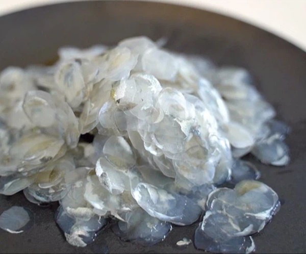 2 bộ phận đắt giá nhất của con cá, sánh ngang thuốc bổ cao cấp nhưng 90% người ăn chưa biết cách tận dụng cho đúng-3