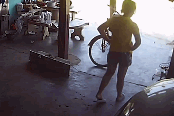 Cảnh tượng ác mộng rắn độc tụ tập trong phòng giặt-1