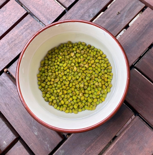 Cách làm giá đỗ to mập, trắng ngon tại nhà bằng vật dụng quen thuộc, đảm bảo mẹ nào cũng thực hiện thành công-1