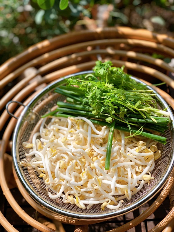 Cách làm giá đỗ to mập, trắng ngon tại nhà bằng vật dụng quen thuộc, đảm bảo mẹ nào cũng thực hiện thành công-3