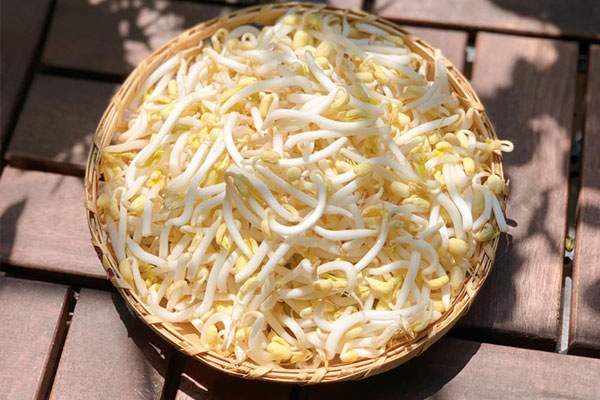 Cách làm giá đỗ to mập, trắng ngon tại nhà bằng vật dụng quen thuộc, đảm bảo mẹ nào cũng thực hiện thành công