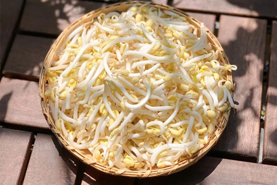 Cách làm giá đỗ to mập, trắng ngon tại nhà bằng vật dụng quen thuộc, đảm bảo mẹ nào cũng thực hiện thành công