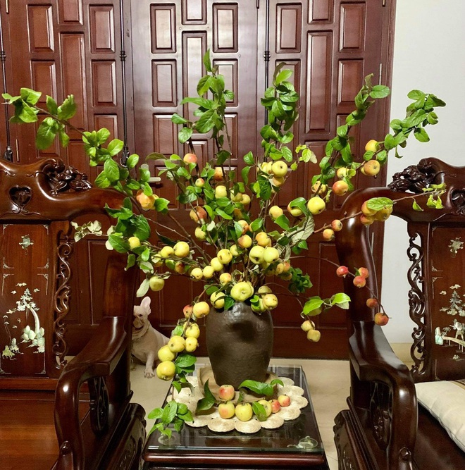 Thay cắm hoa tươi, táo mèo cả cành được ưa chuộng bất ngờ-2