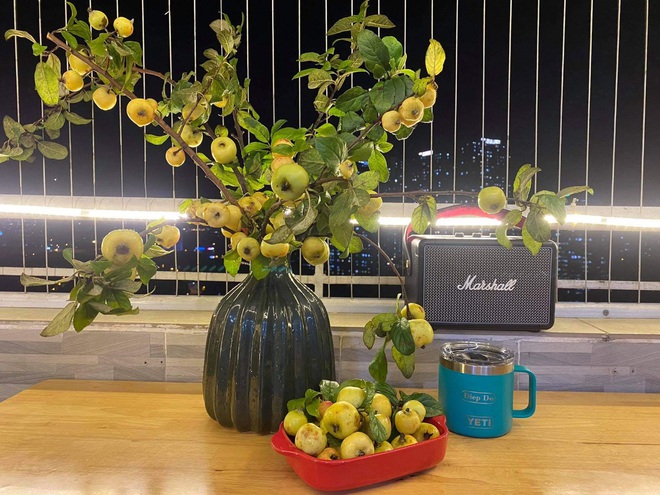 Thay cắm hoa tươi, táo mèo cả cành được ưa chuộng bất ngờ-4