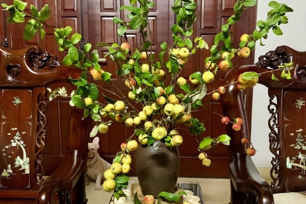 Mới - lạ hoa cà rốt, thu hút nhiều bà nội trợ mua về cắm-8