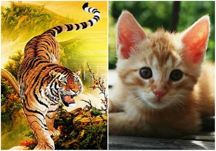 3 con giáp được Thần Tài chiếu cố có cơ hội phát tài kể từ Rằm tháng 8 âm lịch-1