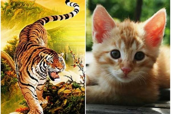 3 con giáp được Thần Tài chiếu cố có cơ hội phát tài kể từ Rằm tháng 8 âm lịch