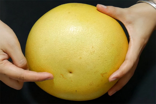Khi mua bưởi nên chọn quả nhọn hay tròn? Mách bạn một mẹo, bưởi vừa có da mỏng, thịt lại mọng nước-4