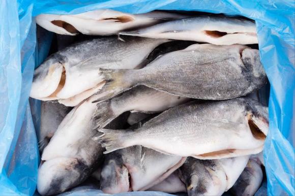 Dù rã đông loại cá nào đi chăng nữa, hãy nhớ đừng ngâm trong nước. Đầu bếp dạy bạn một mẹo đơn giản và nhanh chóng, cá tươi ngon hơn cá sống-3