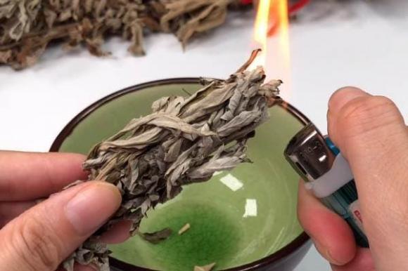 Vào mùa hè, muỗi sợ nhất là loại cỏ này! Hãy lấy một nắm đặt trong phòng và cửa ra vào, cả đêm bạn cũng không nhìn thấy một con muỗi nào-6