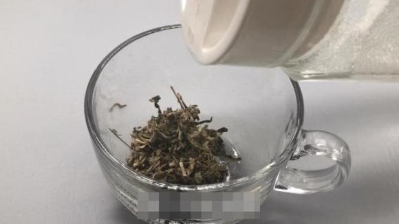 Vào mùa hè, muỗi sợ nhất là loại cỏ này! Hãy lấy một nắm đặt trong phòng và cửa ra vào, cả đêm bạn cũng không nhìn thấy một con muỗi nào-7