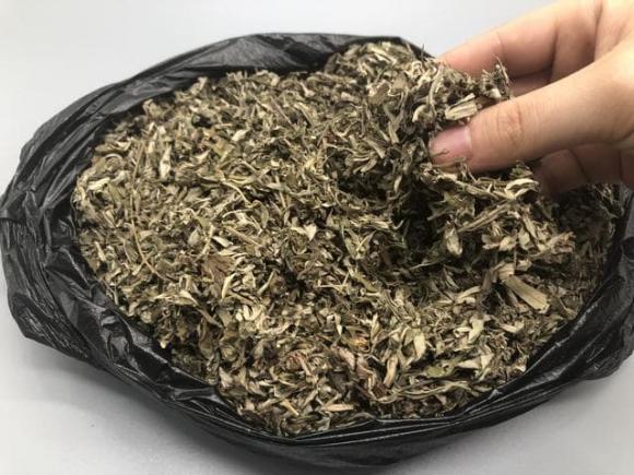 Vào mùa hè, muỗi sợ nhất là loại cỏ này! Hãy lấy một nắm đặt trong phòng và cửa ra vào, cả đêm bạn cũng không nhìn thấy một con muỗi nào-13