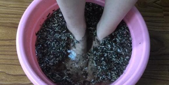 Vào mùa hè, muỗi sợ nhất là loại cỏ này! Hãy lấy một nắm đặt trong phòng và cửa ra vào, cả đêm bạn cũng không nhìn thấy một con muỗi nào-14