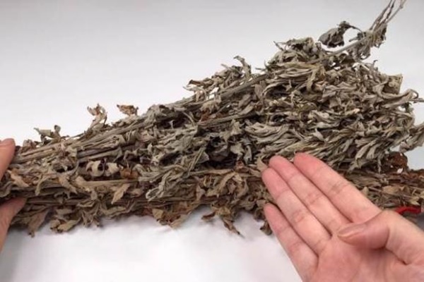 Tôi có thể ăn cơm để qua đêm không? Nhiều người hiểu chưa đúng. Hãy nhanh nói cho gia đình biết những điều này nhé!-6